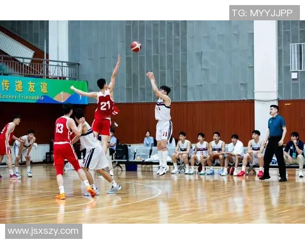 上虞区篮球明星协会携手共创篮球文化新篇章助力青少年成长与发展
